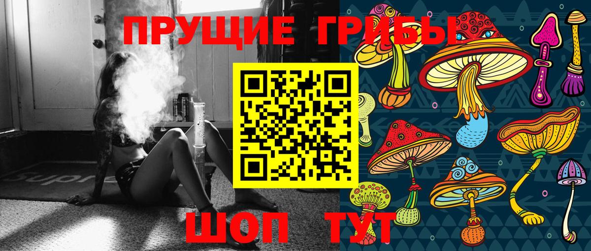 Псилоцибиновые грибы Psilocybine cubensis  Вход с VPN  Мценск  Псилоцибиновые грибы мицелий 